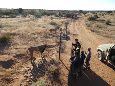 Kurztagestouren in Namibia , Safari-Weltreisen