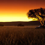 sossusvlei safari