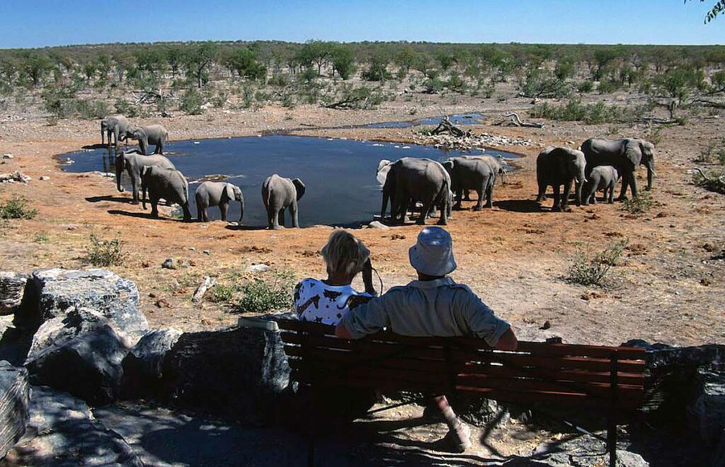 Top 7 Namibias Touristenattraktionen, die ein echtes Markenzeichen der afrikanischen Safari geben , Safari-Weltreisen