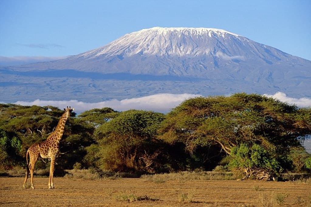 Afrikanische Safari-Touren und Ferien , Safari-Weltreisen