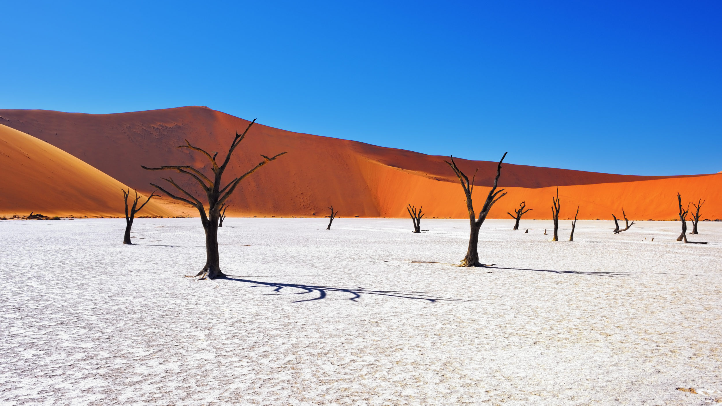 Is it safe to travel to Namibia?, Safari World Tours