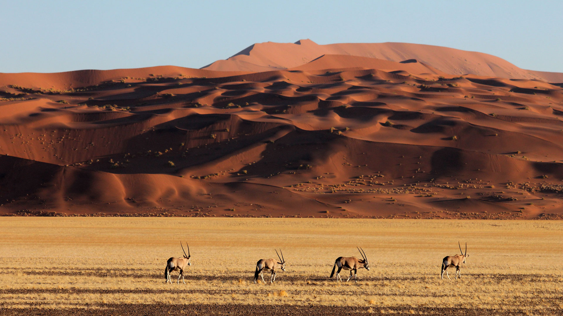 Warum Namibia wählen, wenn Sie eine Fototour machen möchten? , Safari-Weltreisen