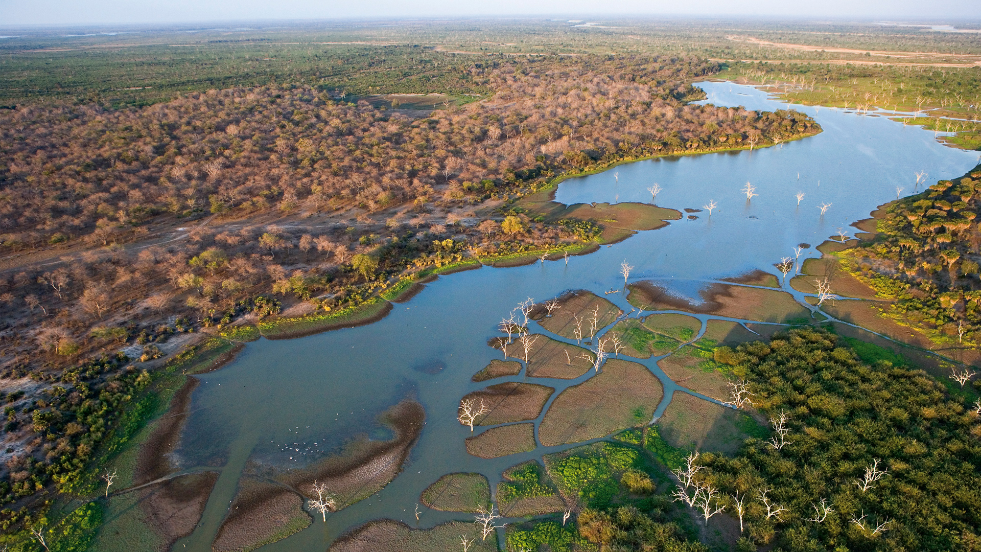 Pirschfahrten im Moremi-Nationalpark & Bootsfahrt im Okavango-Delta , Safari-Weltreisen