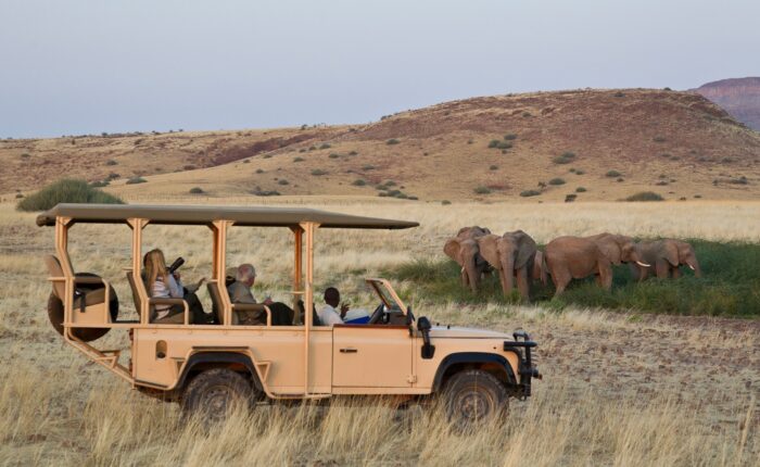game drives in Namibia