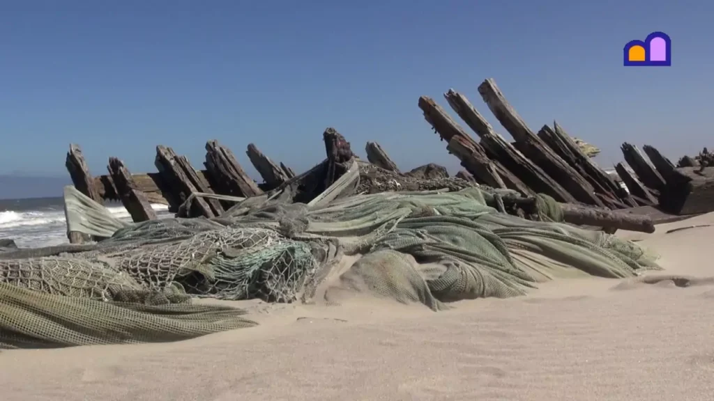 Skeleton Coast by 4 x 4 &#038; Light Aircraft (Namibia) in 2023, Safari World Tours