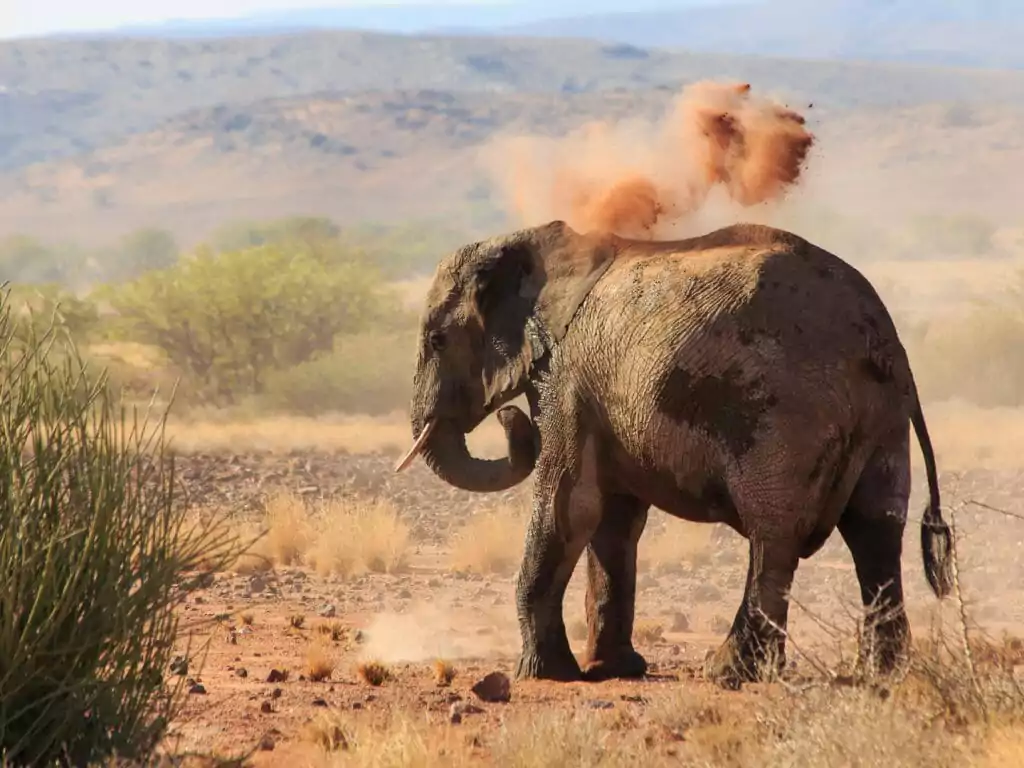 Reasons to visit Damaraland in Namibia, Safari World Tours