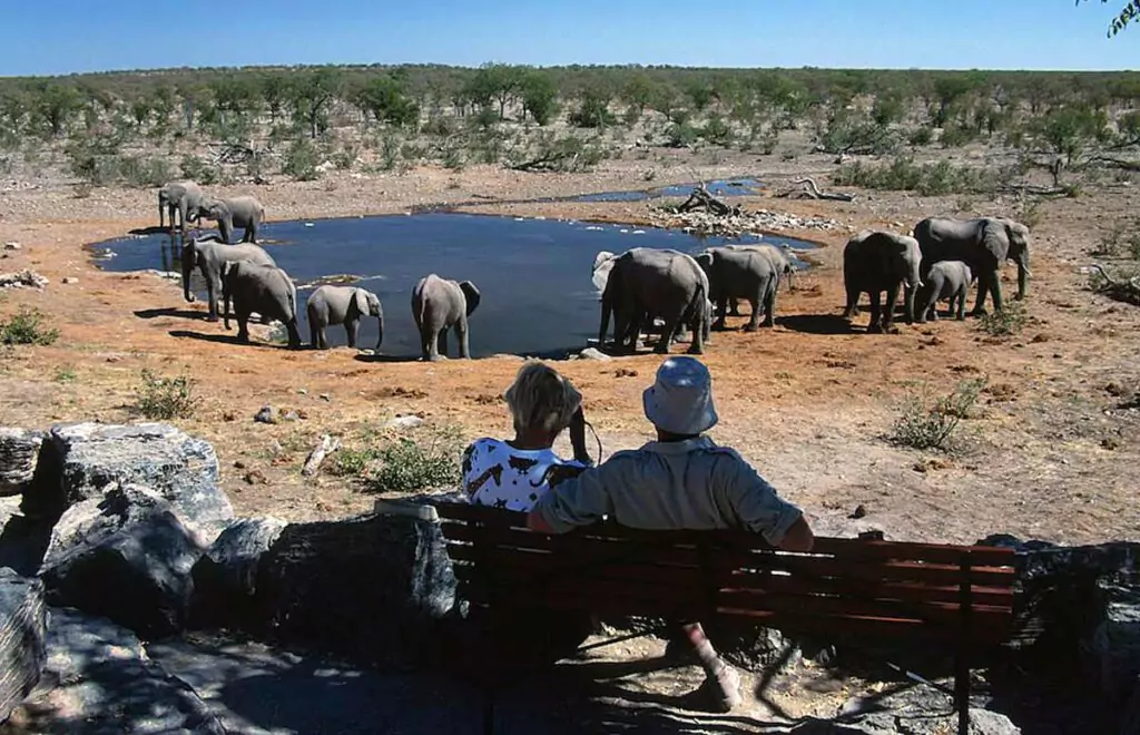 Top 7 Namibia Tourist Attractions That Will Give A Real Trademarks Of African Safari, Safari World Tours