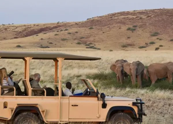 game drives in Namibia