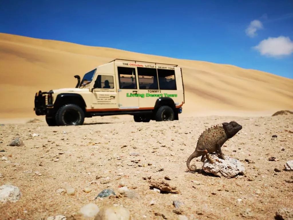 Die 26 besten Aktivitäten in Swakopmund, Namibia , Safari-Weltreisen