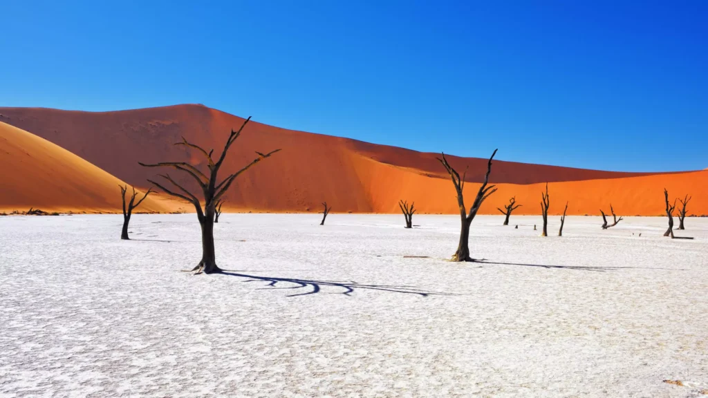 Is it Safe to Travel to Namibia?, Safari World Tours