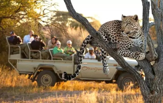 Short Day Tours in Namibia, Safari World Tours