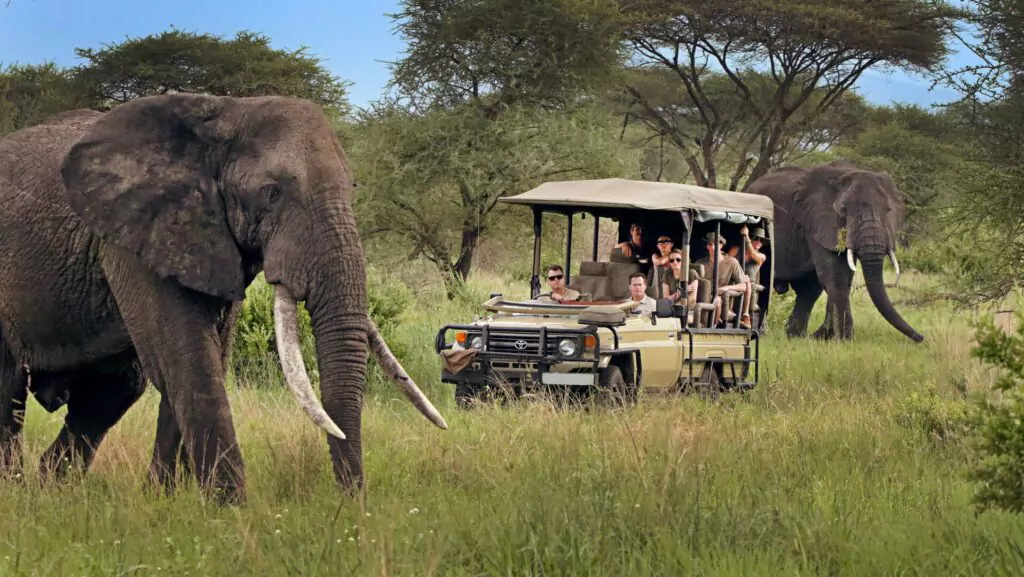 A Guide To Namibia Tours &#038; Safaris – Perfect Introduction To Namibia Trip!, Safari World Tours