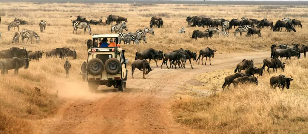 Namibia Travel Guide 2022 – What’s It Like to Safari in Namibia?, Safari World Tours
