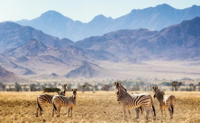 Namibia safari trip