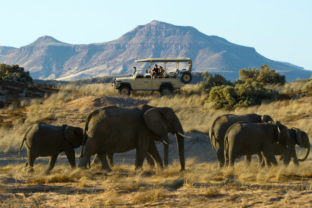 Reasons to visit Damaraland in Namibia, Safari World Tours