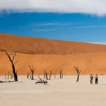 Travel To Namibia