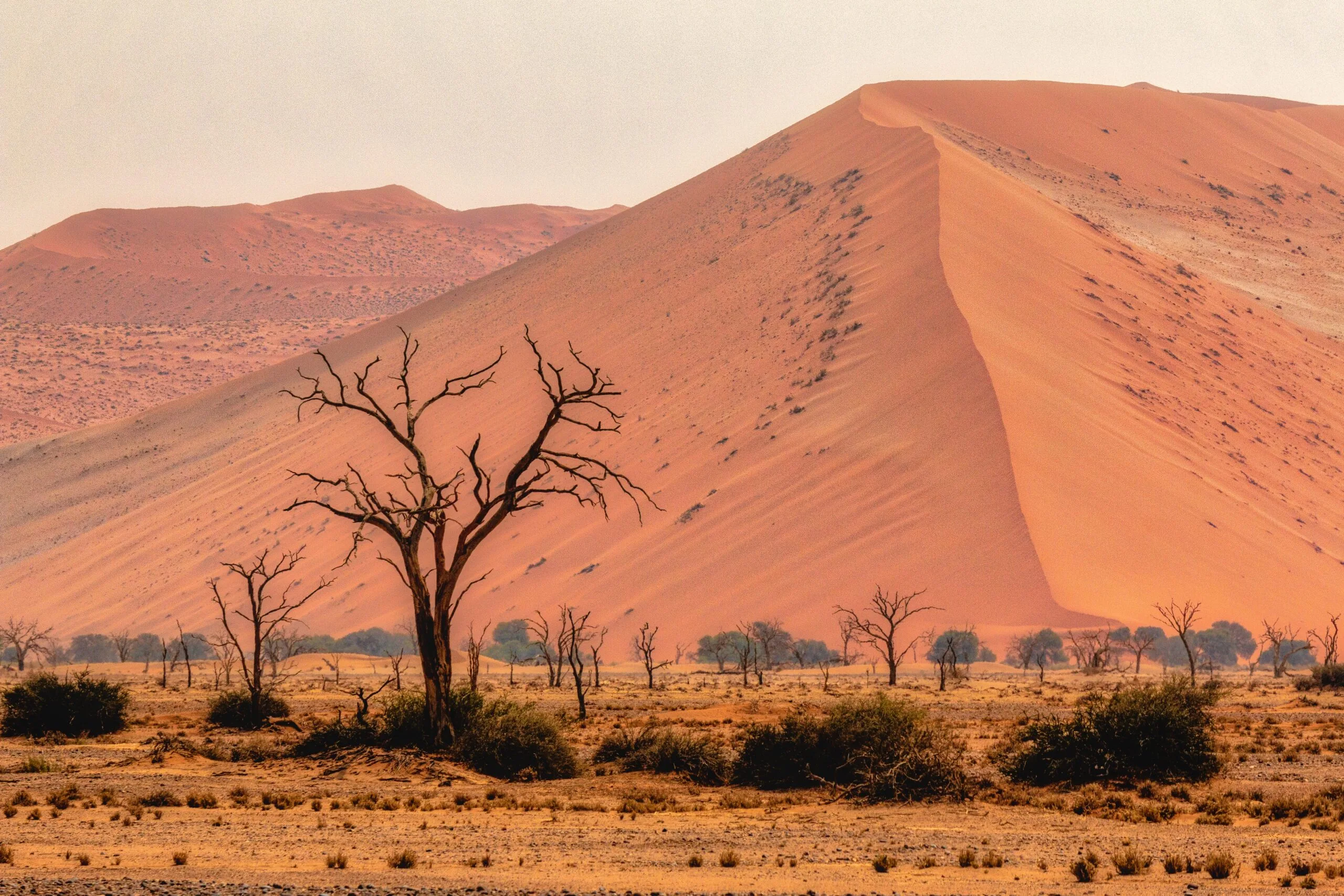 Namibia&#8217;s PEOPLE AND ITS IMPORTANT IN REGION, Safari World Tours