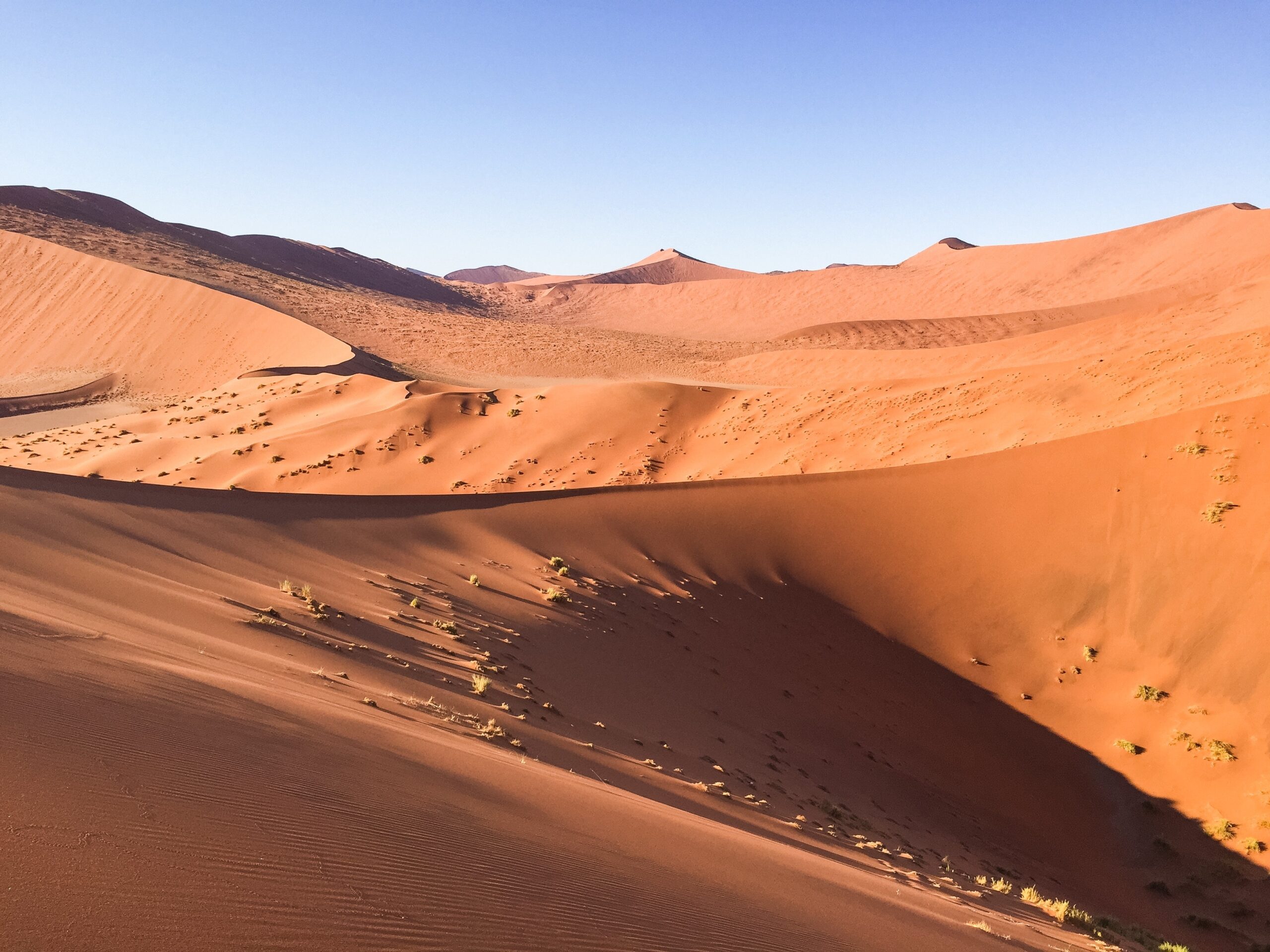 NAMIB &#8211; PEOPLE AND ITS IMPORTANT IN REGION, Safari World Tours