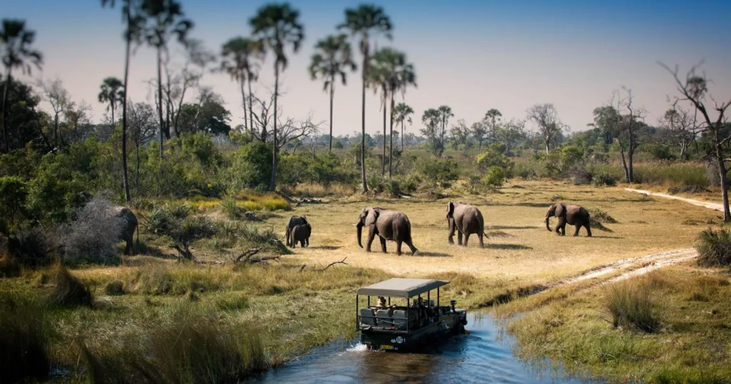 Top 10 African Safari Tours 2024-2025, Safari World Tours