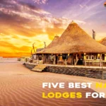 Die 5 besten Lodges für Safaris in Namibia