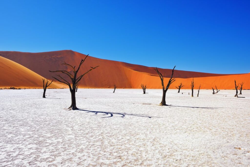 9 Days Luderitz, Sossusvlei Swakopmund, Skeleton Coast and Etosha National Park Budget Tour