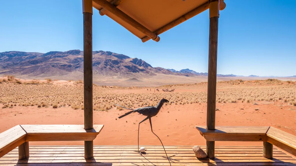 A Trip Like This Needs Clear Guidance Is It Still Safe to Travel to Namibia Right Now in 2026?, Safari World Tours