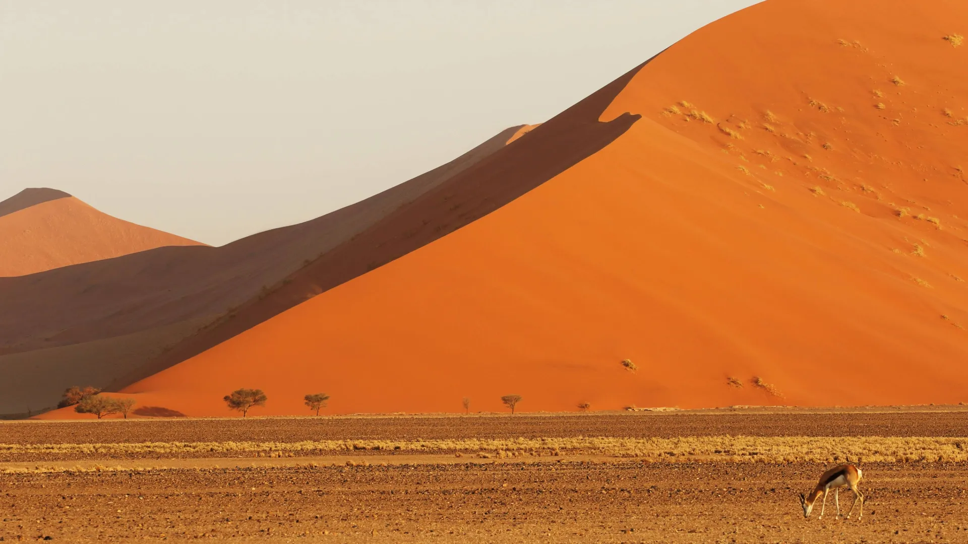 Namibia Travel Safety