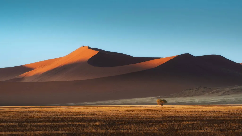 There May Even Be an Upside Right Now Is It Still Safe to Travel to Namibia Right Now in 2026?, Safari World Tours