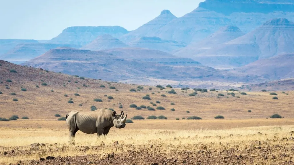 What Is Actually Happening in Namibia Is It Still Safe to Travel to Namibia Right Now in 2026?, Safari World Tours