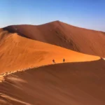 10 Day Highlight Namibia Safari Self Drive