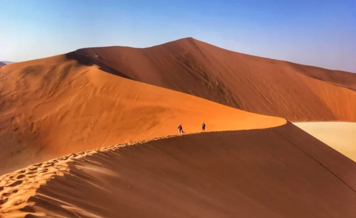 10 Day Highlight Namibia Safari Self Drive