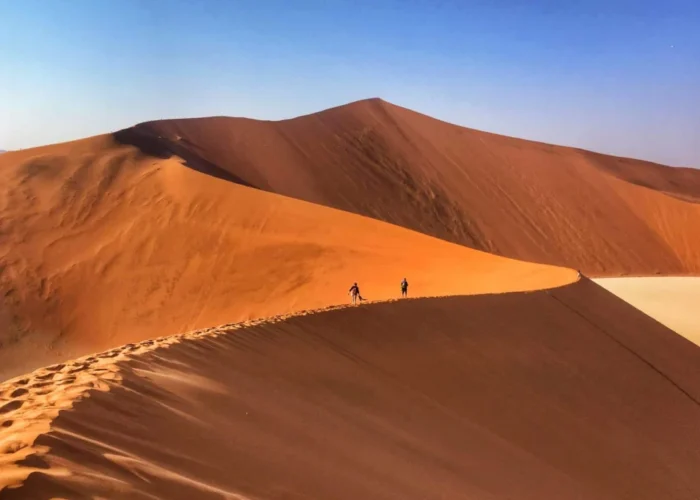 10 Day Highlight Namibia Safari Self Drive