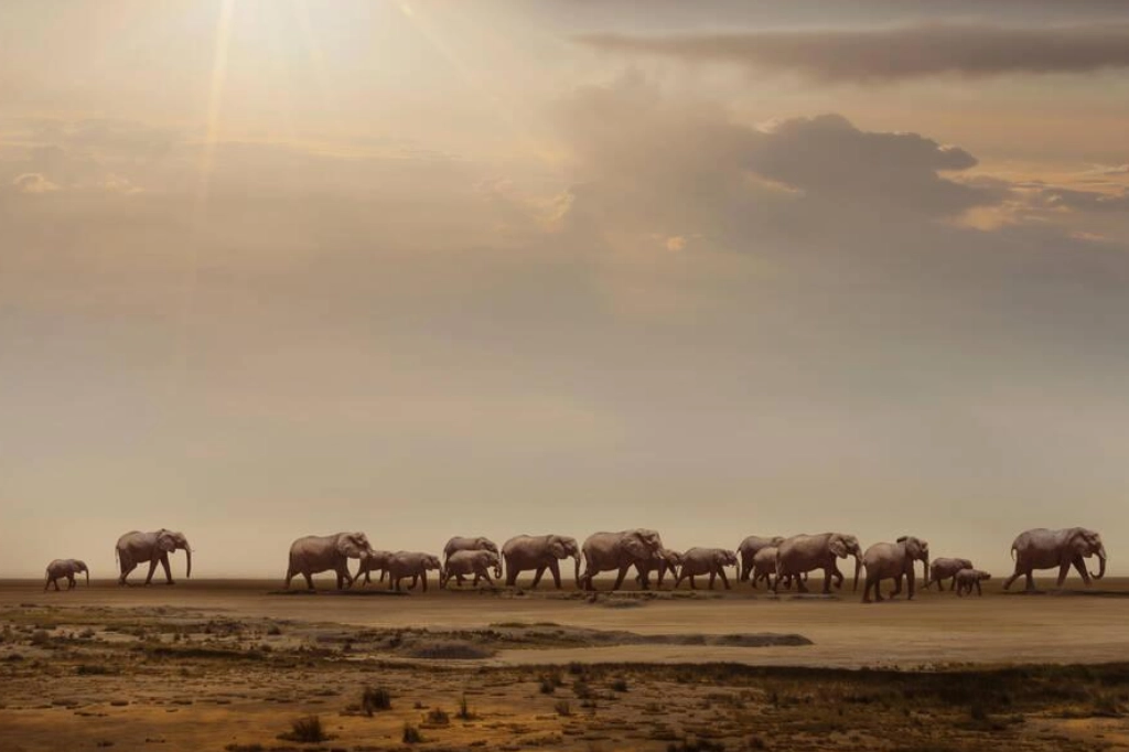 10-Day Windhoek Botswana and Victoria Falls Safari