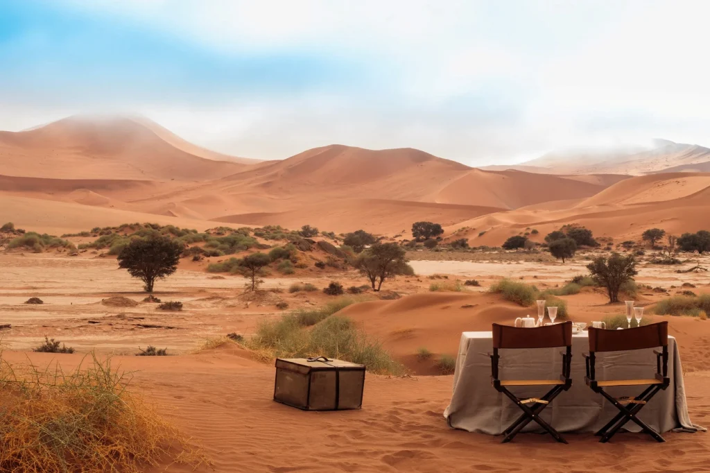 African Safari Tours & Holidays, Safari World Tours