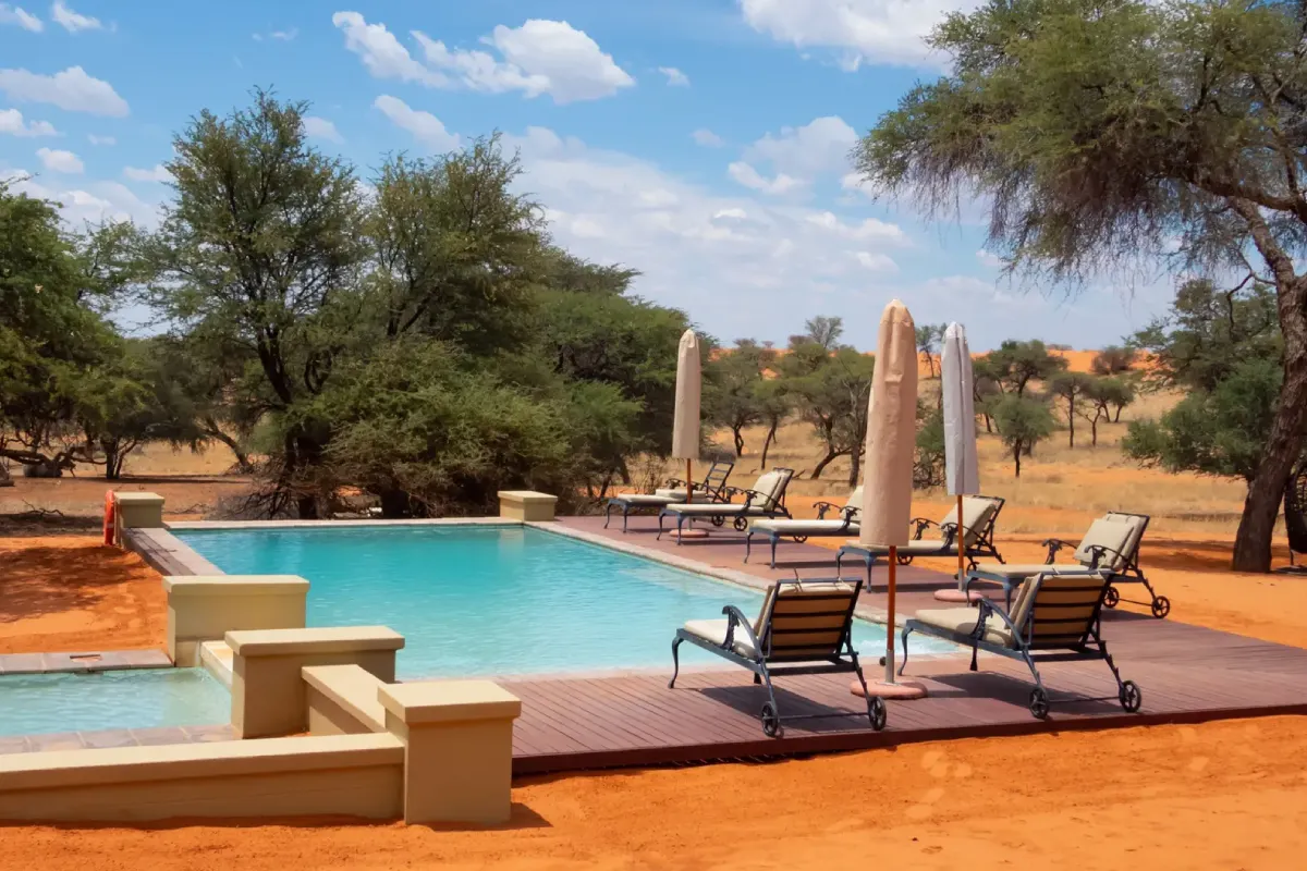 Intu Afrika Kalahari Reserve 4x4 Safari