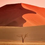 10 Days Southern Escape Namibian Safari (Lodging)