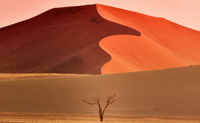 10 Tage Südstaaten-Safari in Namibia (Unterkunft)