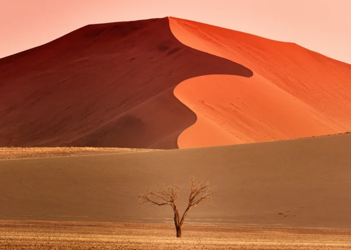 10 Tage Südstaaten-Safari in Namibia (Unterkunft)