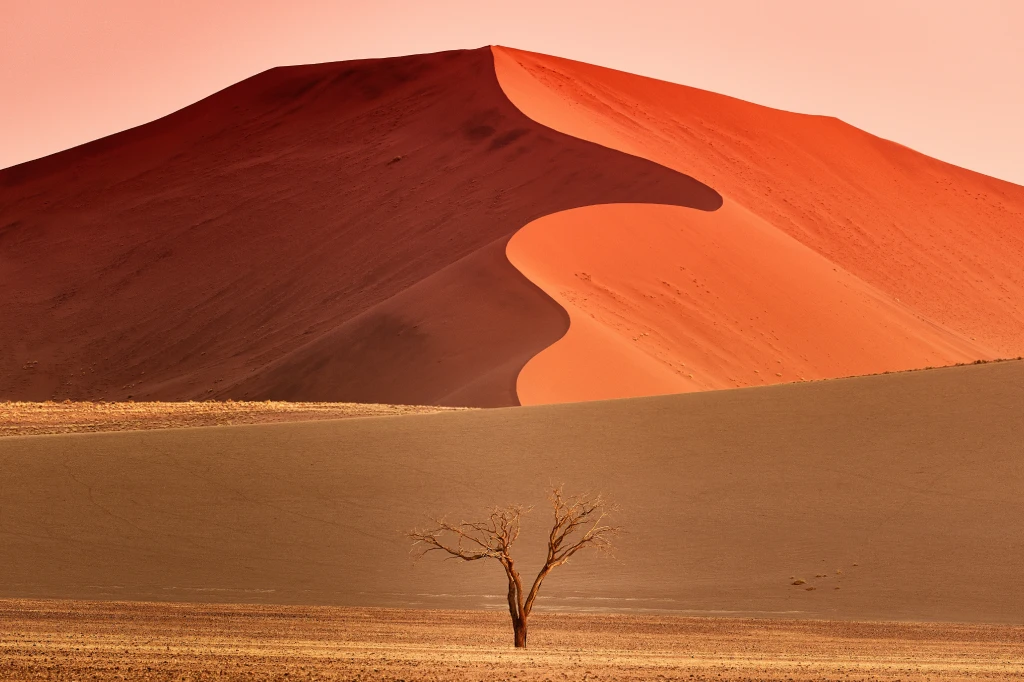 10 Days Southern Escape Namibian Safari New