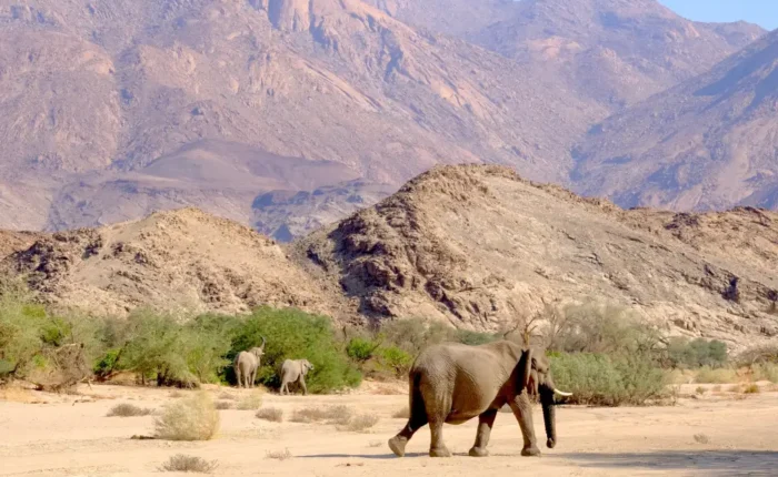 10 Days Wilderness Namibia (Camping)
