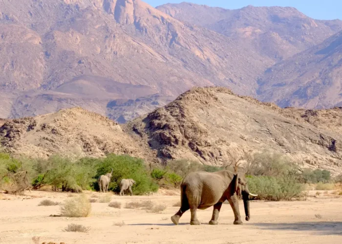 10 Tage Wildnis Namibias (Camping)