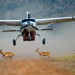 10 Days Wildlife and Sossusvlei Safari