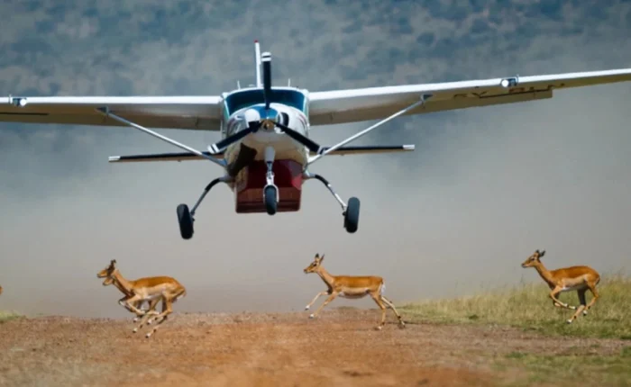 10 Days Wildlife and Sossusvlei Safari