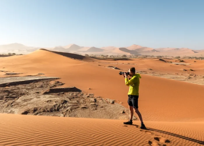 11 Days Namibian Highlights Safari (Lodging) Tour