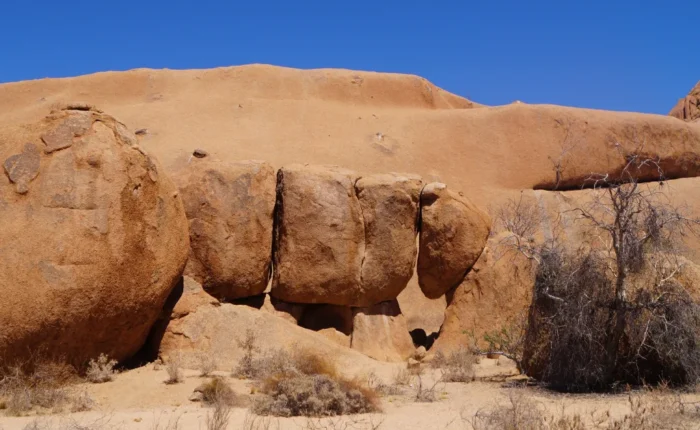 12 Days Discover Namibia Safari (Camping)