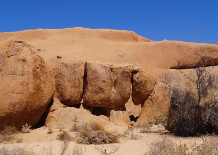 12 Days Discover Namibia Safari (Camping)