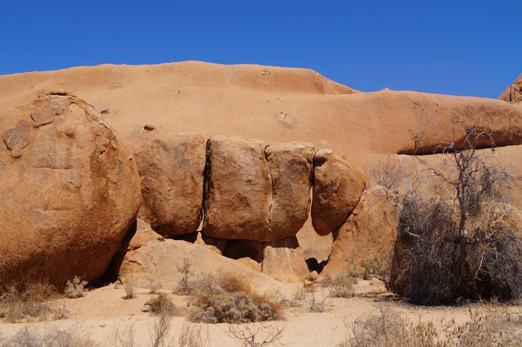 African Safari Tours & Holidays, Safari World Tours