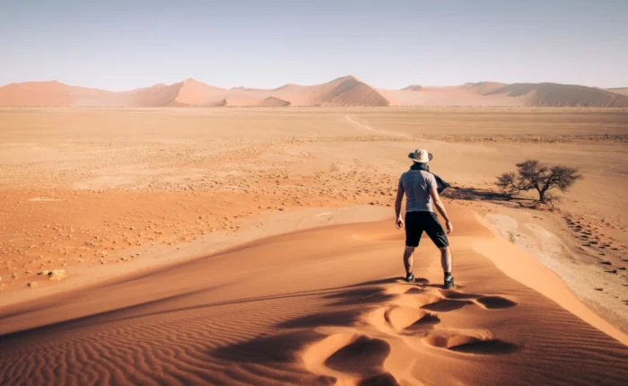 12 Days Namibian Anniversary Safari (Lodging)