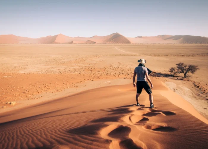 12 Days Namibian Anniversary Safari (Lodging)