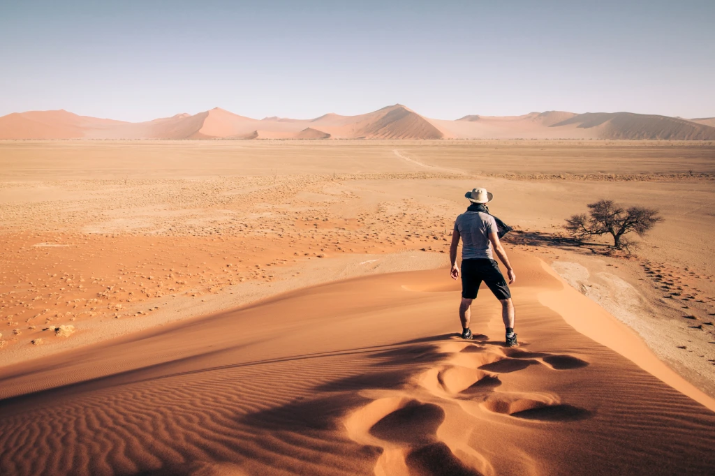 African Safari Tours & Holidays, Safari World Tours